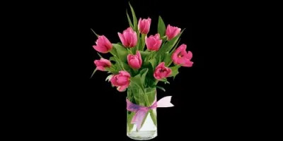 On met des fleurs dans :