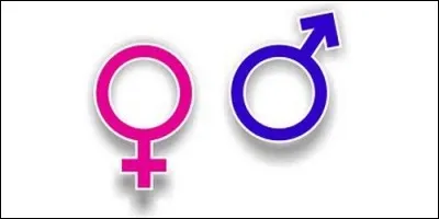 Il y a le masculin puis :