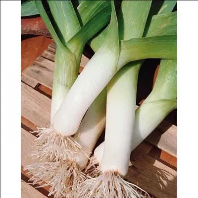 Dans la famille Porriot, je demande le religieux.