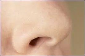 Je sens une odeur de brûlé avec mon...