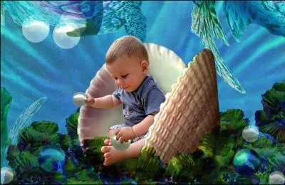 Pour casser un coquillage ou un gros crabe, l'idéal est encore de poser une pierre sur sa poitrine, et de s'en servir comme d'une enclume, dit ...