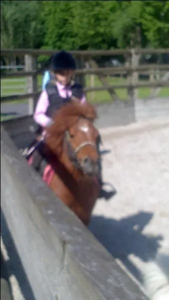 Cette race est un poney caspien.