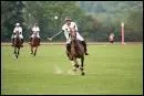Le sport national de l'Argentine est le polo.