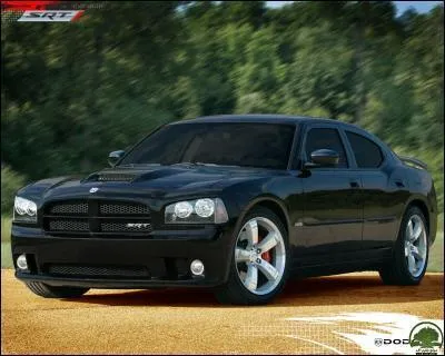 Dans quelle série policière peut-on me rencontrer ?