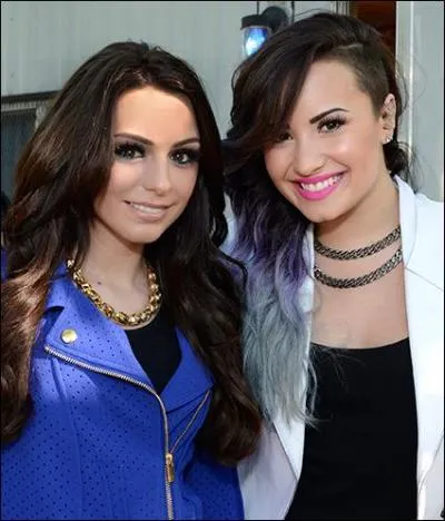 Qui chante 'I Really Don't Care' ?