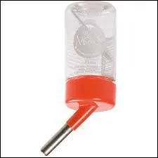 Que boit un hamster ?