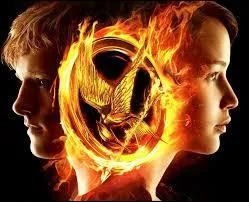 Qu'est-ce qui tape contre le grand arbre ?