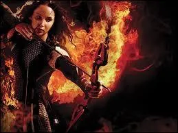 Que fait Katniss vers la fin ?