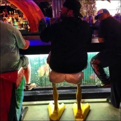 Voici l'effet surprenant (mais où met-il ses jambes ? ) d'un tabouret aux pattes... ?