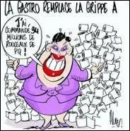 Qu'est-ce qu'une gastro-entérite ? (agrandissez l'image, c'est pour le fun ! ;-) )