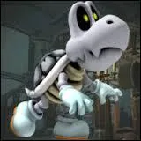 Qui est cette tortue morte ?