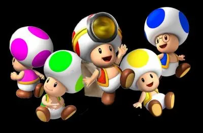 Qui sont ces petits champignons ?