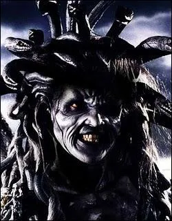 Quelle est cette créature ? Parmi ses surs, elle est la seule à ne pas avoir le privilège de l'immortalité, son regard pétrifiait tous ceux qui le croisaient.