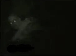 Qui sont ces créatures du folklore sémitique ? Elles sont en général invisibles, et leur capacité à influencer spirituellement et mentalement le genre humain est grande.