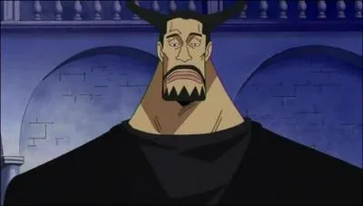 Pendant ce combat, qu'est-ce que Luffy répète plusieurs fois ?