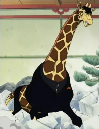 Kaku a obtenu un nouveau fruit du démon qui lui permet de se transformer en girafe. Sauf que cette transformation...