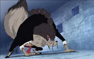 Quelle est la particularité de Jabura ?