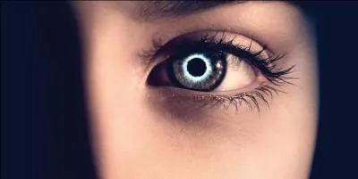 Quels musiciens ont fait la BO du film "Les âmes vagabondes" ?