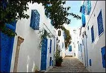 En 2004, dans la ville de Bou Salem, il y avait environ 20 100 habitants. Vrai ou faux ?