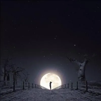 Vous devez vous placer à l'intérieur d'un cercle fait de :