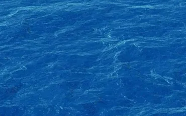 Quiz Ocean