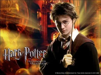 Qui a le rle d'Harry Potter dans le film Harry Potter ?