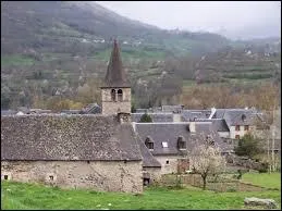 Vieille-Aure est un village midi-pyrénéen situé dans le département ...
