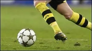 L'Argentine et l'Allemagne étaient les deux équipes en finale de la Coupe du monde 2014. Quels étaient les finalistes en 2010 ?