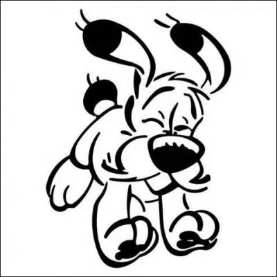 Comment s'appelle ce chien ?