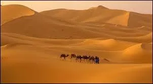 Quel est le désert le plus aride de la planète ?