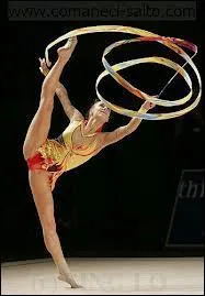 Comment s'appelle cet engin ?