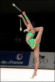 Comment s'appelle cet engin ?