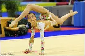 Comment s'appelle cet engin ?