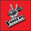 Qui a gagné "The Voice" saison 3 ?