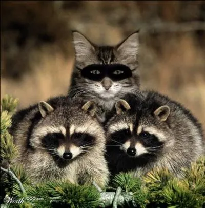 Cette chanson devrait vous rappeler un petit air "Inconnu" !