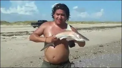 J'espère que vous n'aurez pas une dent contre moi si vous ne retrouvez pas cette chanson de France Gall !