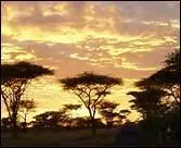 Niveau 9 - Courage, c'est l'avant-dernière question ! Combien de couleurs la Tanzanie a-t-elle sur son drapeau ?