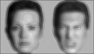 Regardez bien ces 2 visages, en vous reculant de quelques mètres, vous remarquez que :