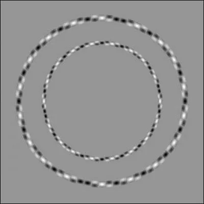 Certes, nous voyons 2 cercles, mais ils sont :