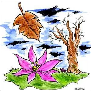 Succès des années 1945 à 1970, ce tube des colonies de vacances a été repris en 1977 par Francis Cabrel. Quel est le titre initial de "Colchiques dans les prés" ? (clip)