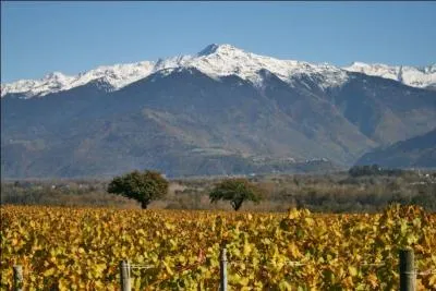 "Elle descend de la montagne à cheval" : cette chanson provient d'une chanson populaire américaine, elle-même inspirée d'un negro spiritual. La version française la plus connue est celle du chanteur ... ! (clip)