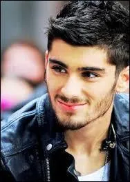 Comment s'appellent les surs de Zayn ?
