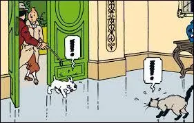 Vous n'avez sans doute pas oublié la première rencontre de Milou et du chat du capitaine Haddock au début des 7 boules de cristal. Mais vous souvenez-vous de son nom ?