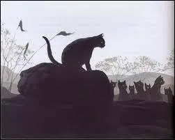 " Blues pour un chat noir" est une chanson de Boris Vian. Est-ce vrai ou faux ?