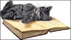 Qui a comparé son chat à un presse-papier ?