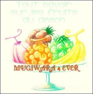 Quel membre de l'équipage a mangé le Yomi Yomi no Mi (Nom en japonais) ?