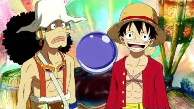 Quel âge ont Luffy et Usopp (après l'ellipse) ?