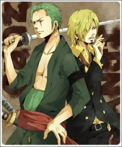 Quel âge ont Zorro et Sanji (après l'ellipse) ?