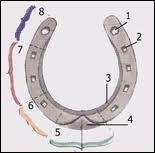 Quiz Galop 3