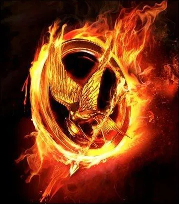 Par quoi sont représentés les Hunger Games ?